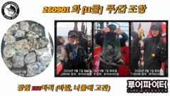 루어파이터호-9/1 화 [11물] 쭈꾸미/갑오징어 조항 입니다. 사진