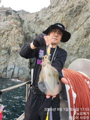 무늬 실시간 씨알굿! 사진