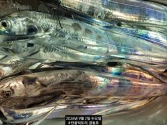 (南)남해조황 - 먼바다왕갈치외줄16석 씨알급까지손맛~수요일 오늘5석여유 사진