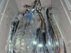 [마산] 체력만 좋으면은 100수는 기본입니다 사진