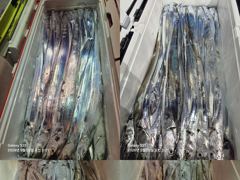 통영 영운호 14석 먼바다 대칼치 대박을 기원 하며 기상 좋아 지기를 기다립니다 사진