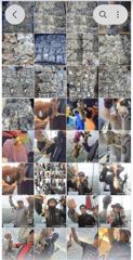 출조안내 - /////(부천,안양,의왕 경유) 오늘밤출발 9/3(목) 군산 쭈꾸미(급3석)___9.8(화)군산 쭈꾸미(자리여유)___9.10(목),12(토)군산 쭈꾸미/문어 예약 중___화목토일 주4회 군산 쭈/갑/문어 출조. 예약문의 ☎️ 010-3611-2672 사진