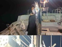 은빛나래피싱 대박입니다. 초저녁부터 폭발적인 소나기 입질에 시원한 도끼입질까지 생미끼에 대갈치 집중공략 성공 사진