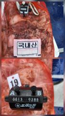 < 무 창 포 베 테 랑 피 싱 >[ 가 디 언 호 ] 9월 3일 쭈/갑 조황!! 살아납니다!! 어제보다 더 잘나와주네요!! 사진