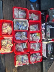 9월4일 안녕하세호 쭈꾸미 조황입니다 사진