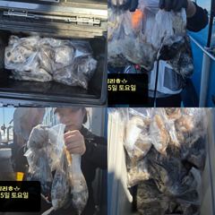 [쭈·갑·문조황]9/5[홍원항영진낚시]lt;시실리호gt;쭈amp;갑출조조황입니다~!! 사진