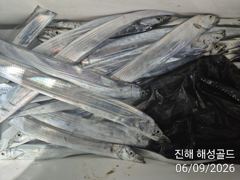 내만갈치 남 여 어린이누구나 함께 손맛입맛 월 화 수예약가능 사진