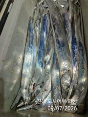 7일새벽 용가리급 내만갈치 진짜 크긴 크네요~!! 화.수.목~예약중 사진