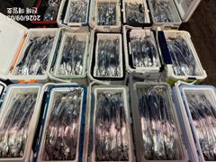 출조안내 - 영구낚시... 9월 16일(수) 고흥 갈치 ... 9월 19일(토) 여수 갈치 ... 9월 9일(수) 홍원항 쭈꾸미 ... 9월 12일(토) 홍원항 쭈꾸미 사진