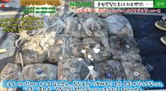 9월7일 홍원항힐링호 쭈갑 조황~!오늘도 괜찮게 나와주었습니다^^장원280수~2등250 3등 240수 등등 비슷비슷하게 잡으셨네요 다들..문어는 서비스~수고들많으셨습니다. 사진