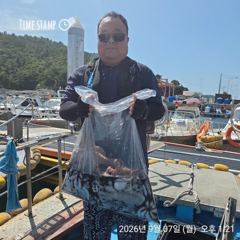 완도은솔호 문어 마리수 조황입니다