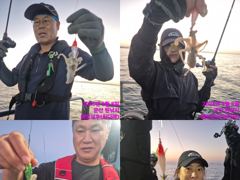 레인보우호 쭈꾸미 실시간 조황(8일)-내일 종일 자리있음 사진