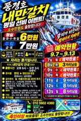 [진해] <내만갈치>선비 이벤트!3지급들 피딩! 마릿수 최신굳조황 사진