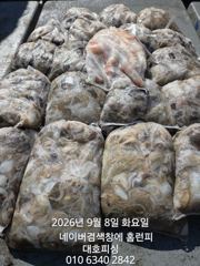 대호피싱 쭈꾸미 대박치고 왔어요 문어는 보너스로 나오네요 사진