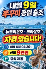 <발키리호> 쭈꾸미 오후 마무리 조황(8일)-내일 쭈꾸미 종일,오전,오후 자리있습니다.
