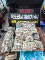 목포신세계피싱 쭈꾸미낚시200여수조과 사진