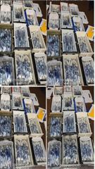 출조안내 - 9/9 고흥녹동흑룡호 야간문어조황 사진