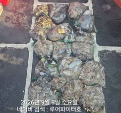 루어파이터호-9/9 수 [4물] 쭈꾸미/갑오징어 조항 입니다. 사진