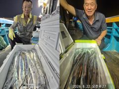 <<<여수태양피싱>>> 8월 21일(금) 갈치 출조 조황 소식//문의 010-3977-5388 사진
