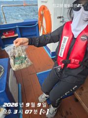 주꾸미조황 사진