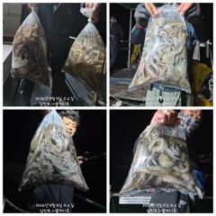 (南)남해조황 - 준내만갈치)텐빈~대치 잡으러 갑니다 (내일 금요일/일요일 예약가능합니다) 사진