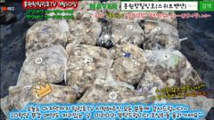 9월10일 홍원항힐링호 쭈갑 조황~!오늘은 몇분 빼시곤 처음 쭈갑낚시하시는분들이 많으셨네요^^잘 알려드리고 하니 생각보다 많이들 잡으셔서 놀라시네요 ㅋㅋ장원200수오바~ 사진