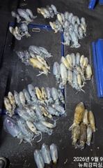 고구매~ 무시까지 골고루 손맛 중!!! 내일도 출동합니다!!!