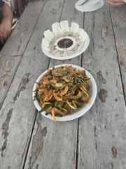 [통영] 버글버글 감성돔