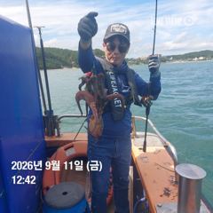 포항 종방)제2대일호 9월 11일 조황 사진