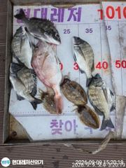 통영현대레저)무뉘 갑오징어 돌문어 3종셋트 사진