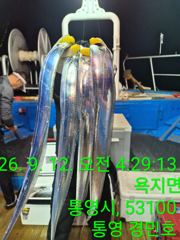 통영 경민호 12일 갈치 입항 조항 사진