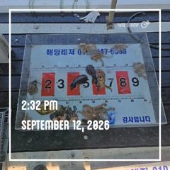 (09/12) 통영 풍화리 선외기 흘림찌낚시 감성돔 실시간 영상 사진