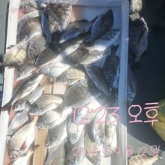 [고성] 12일 조황 꾸준합니다.~ 사진
