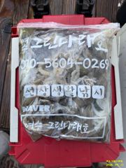 여수그린나래호/9월11일,12일 여수쭈꾸미낚시조황!!(다음주 예… 사진