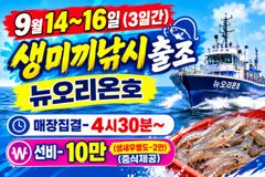 <하나호> 쭈꾸미 오후 마무리 조황912일0-내일 쭈꾸미 종일,오후 자리있습니다. 사진