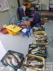 (東)동해조황 - 11일 조황>> 야간 돌문어 뜯어올려~!!(월화 예약중) 사진