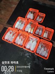 오늘 팁런 자리많습니다 사진