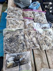 2026년 9월 12일 쭈꾸미 낚시 다녀왔습니다 사진