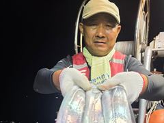 아폴로깊은장 풀치속에대치들이보이네요/낼예약가능 사진