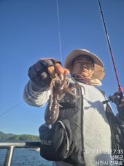 [사천] 13일 열 한분 전원 왕 쭈꾸미 완죤 베리 베리 굳입니다 ~낼부… 사진