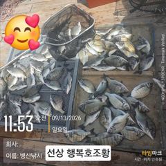 병산 9/13감성돔38외 엄청마리수 선상배및 선외기 흘림조황~~