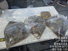 [통영] 주말 주야간 조황 (내일 2자리) 사진
