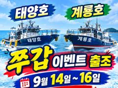 태양호 글만 보기 사진