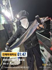 [갈치/텐빈/텐야]14일입항 2.5~4지까지 쿨러조황[화요일]예약가능 사진