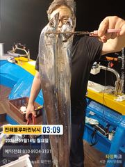 [진해] 준내만갈치)대치들이 오늘 좀 보이네요(예약가능합니다) 사진