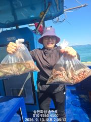 [통영] 통영 송현호))돌문어 개인 20수이상 마리수 올라탑니다~ 사진