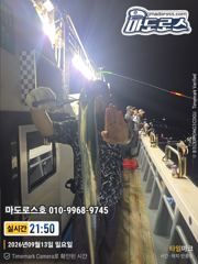 텐야텐빈 오늘의조황입니다 사진