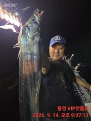 (실시간)통영VIP만물호 먼바다왕갈치 특대갈치(화요일 황제낚시각)!! 사진