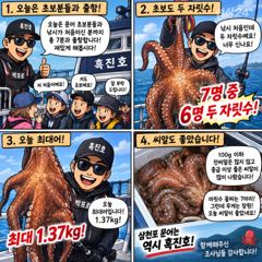 삼천포문어! 초보도 두자릿수! 씨알까지굿~! 9월15일 사진