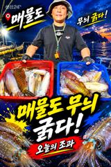 [ 무늬 팁런 ] 씨알급 시즌으로 돌입 중 사진